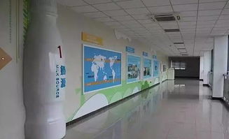 春意盎然，活力苏州 从草莓采摘到千人徒步，一周热门活动指南（2.27-3.5）